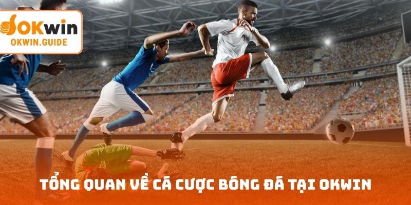 Tổng quan về cá cược bóng đá tại OKWIN