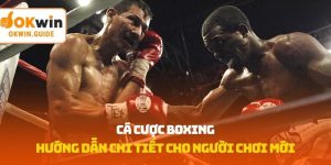 cá cược Boxing
