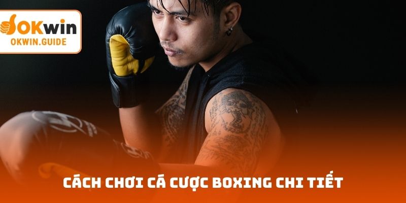 Cách chơi cá cược Boxing chi tiết