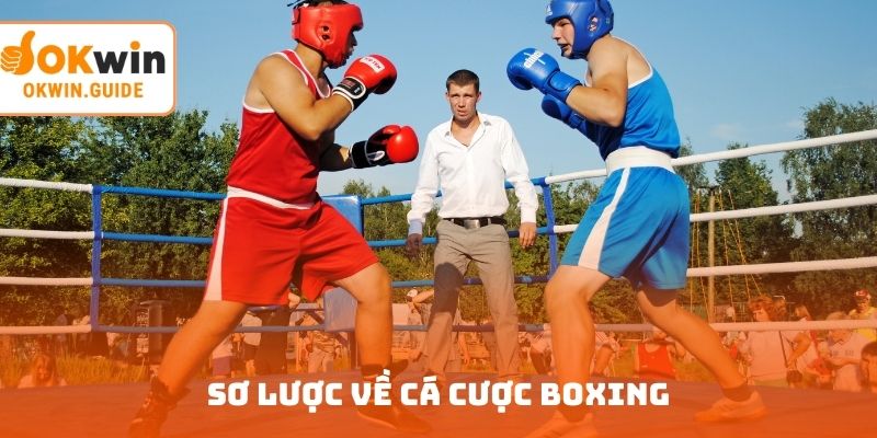 Sơ lược về cá cược Boxing