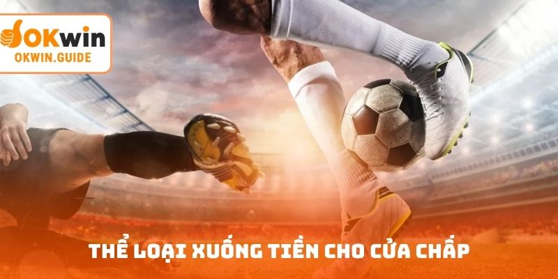 Thể loại xuống tiền cho cửa chấp