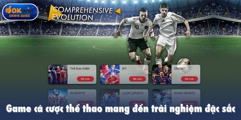 Game cá cược thể thao mang đến trải nghiệm đặc sắc