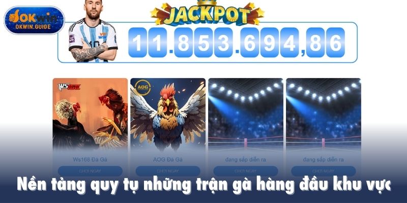 Nền tảng quy tụ những trận gà hàng đầu khu vực