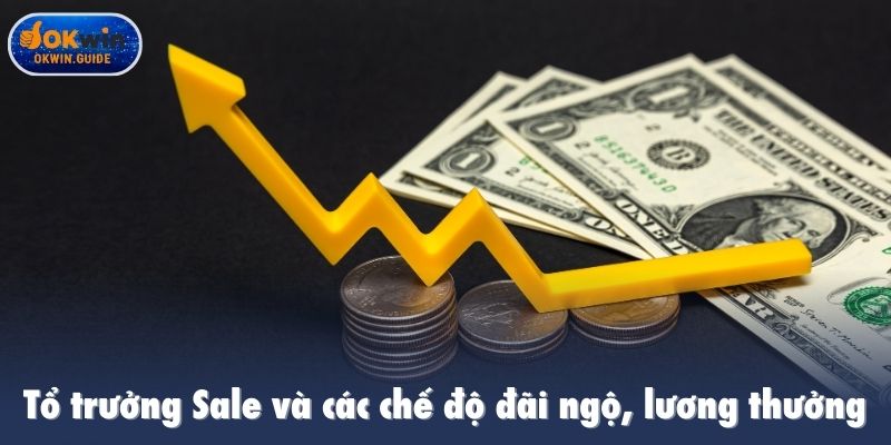 Tổ trưởng Sale và các chế độ đãi ngộ, lương thưởng