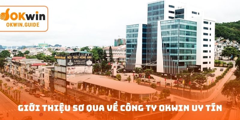 Giới thiệu sơ qua về công ty OKWIN uy tín