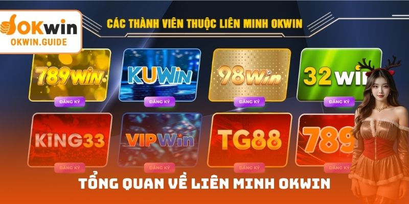Tổng quan về liên minh OKWIN
