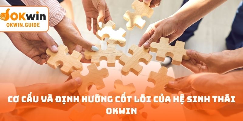 Cơ cấu và định hướng cốt lõi của hệ sinh thái OKWIN
