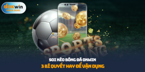 Soi kèo bóng đá Okwin