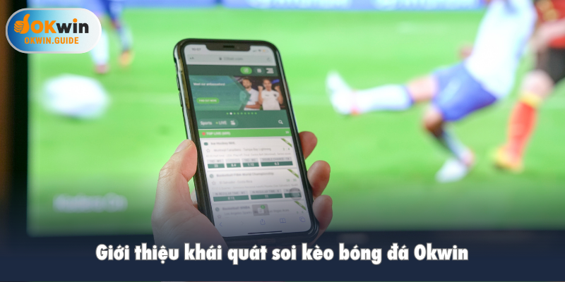 Giới thiệu khái quát soi kèo bóng đá Okwin